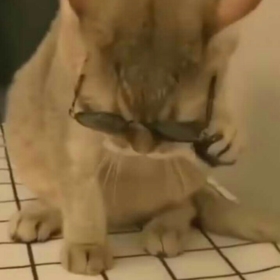 Furkanyslx