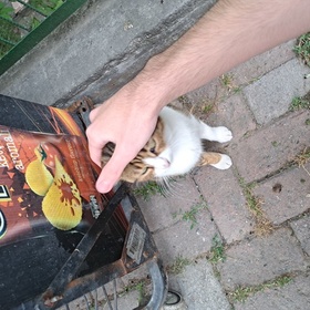 CenkYıldz