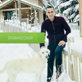 Sssmmmkkkk888