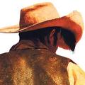StudThing