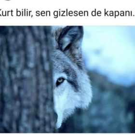 Bir_adam_