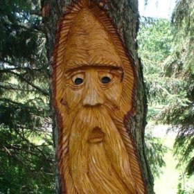 Tazeodun