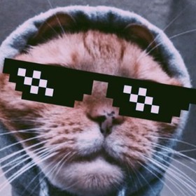 zeyzey78