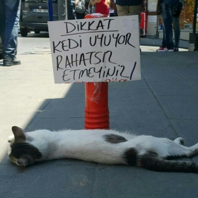 tumayozbek
