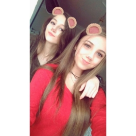 Cerenarslannn