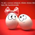 Elif3460