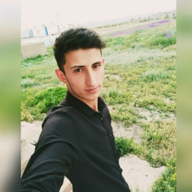 0YALNİZKURT0
