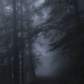 Aloneangelxc