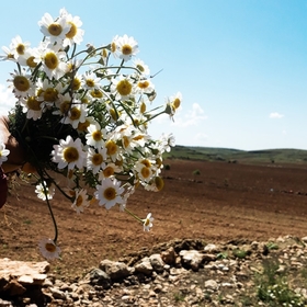sevdanur_4747
