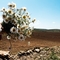 sevdanur_4747