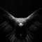 Birand_es