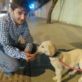 soner_sezerr