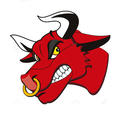 AngryBull
