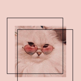 ddmllaasu