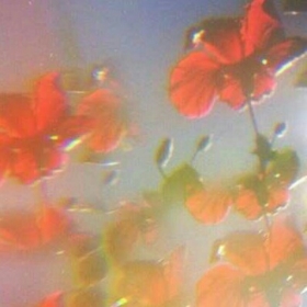 Esil_ts