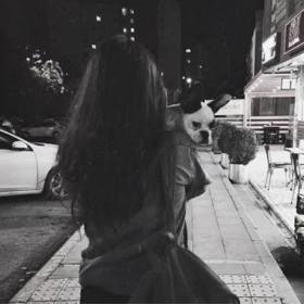 Hanife_sclms