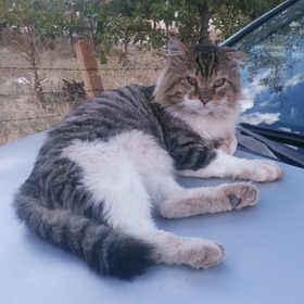 Emırhan_Dogan