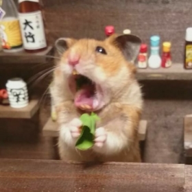 hamster_