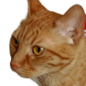 Wynrp