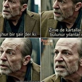 borcine