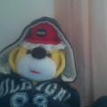 Baolibear