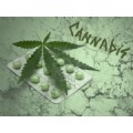 cannabis06