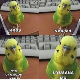 Nicckname