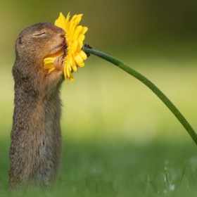 KaanMete1903