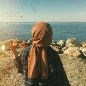 Özom53
