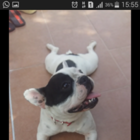 Coco_