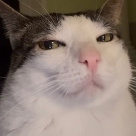 vövövöc