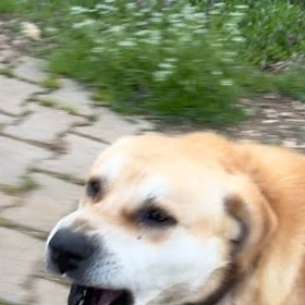 miniktomurcukk