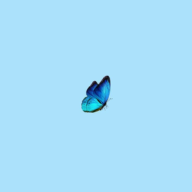 esootk
