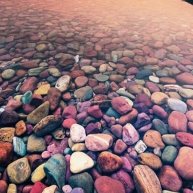 Selinn_-_