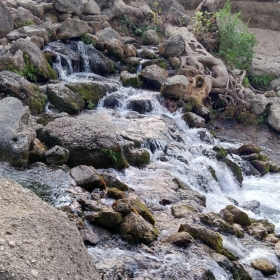 cevapsısorular