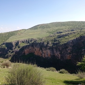 HamzanınEllitonu