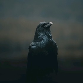 _CRow_0