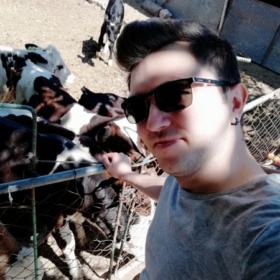 VeterinerOTAKU