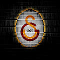 rsgo11