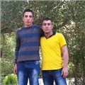 arda63