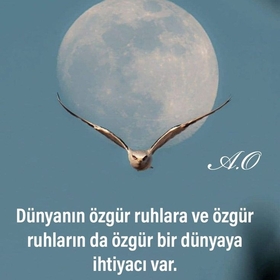 Özgür_Ruhluyum