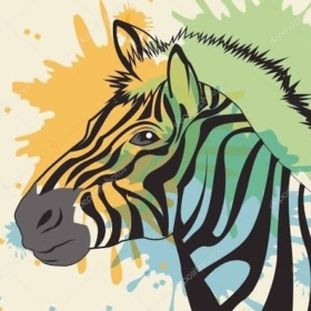 ZebrA__