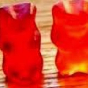 HariboAyısı