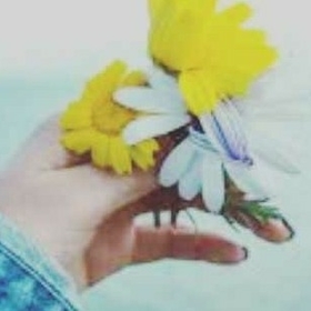 gfdgjjk