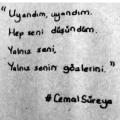 pıtırcıkkız