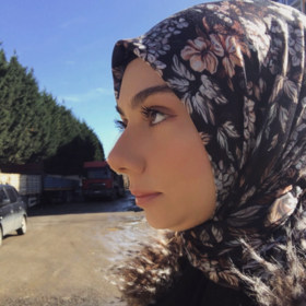 medinemina