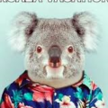 isimsizkoala