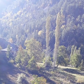 uğur0038