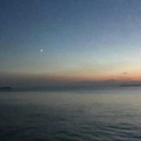 1zeytin1