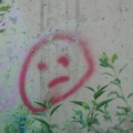 pikasso